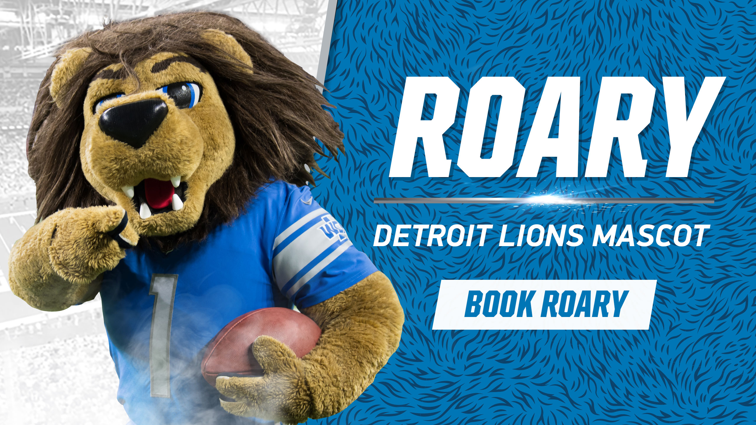 Detroit Lions Football Education Roary Detroit Lions