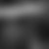 0222MerrittBTN--nfl_thumb_205_105.jpg