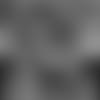 MWillNewMAIN--nfl_thumb_205_105.jpg