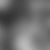 seeing-stars-thumb.jpg