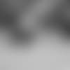 20180523_DAL_Geoff_Swaim12-fix-2