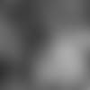 20170814_dal_rico_gathers_selects_jj30522.jpg