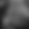 dcc-1213-thumb.jpg