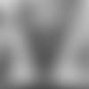 unknown-10-fix-2.jpg