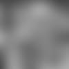 Gallup_Thumb