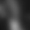 Blank-SJ-piece-new-CMS