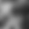 30questions718