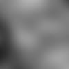 GAB_2017_SHOW_32_FOR_WEB