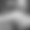 DamonHarrisonDLinePreview