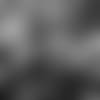 E_MK2_7903-thumb