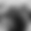 sacks-question-series-E_MK2_0215