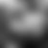 beachum-otas-E_MK2_5972