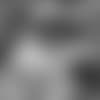 rushing-question-series-E_MK2_7690