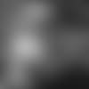 robby-question-series-E_MK2_7743