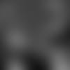 180618-pettine-mike-feature-1-2560
