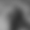 180814-pettine-story-2560