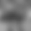 20180208_Best_of_GilmoreNordstrom455