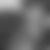 50615_8_837875598