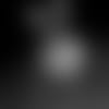53270_8_3445853081