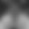 042618_payton_CP.jpg