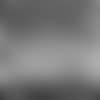 20171217_coaches_12flag.png 20171217_coaches_12flag.png