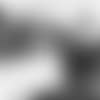 1cstsr_AM4I4055