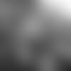 20171217_allred_12flagint.png 20171217_allred_12flagint.png