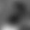 caleb-johnson-16-9-Template