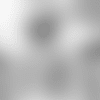 Screen Shot 2018-08-15 at 9.21.29 PM