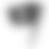 bp_6_2x