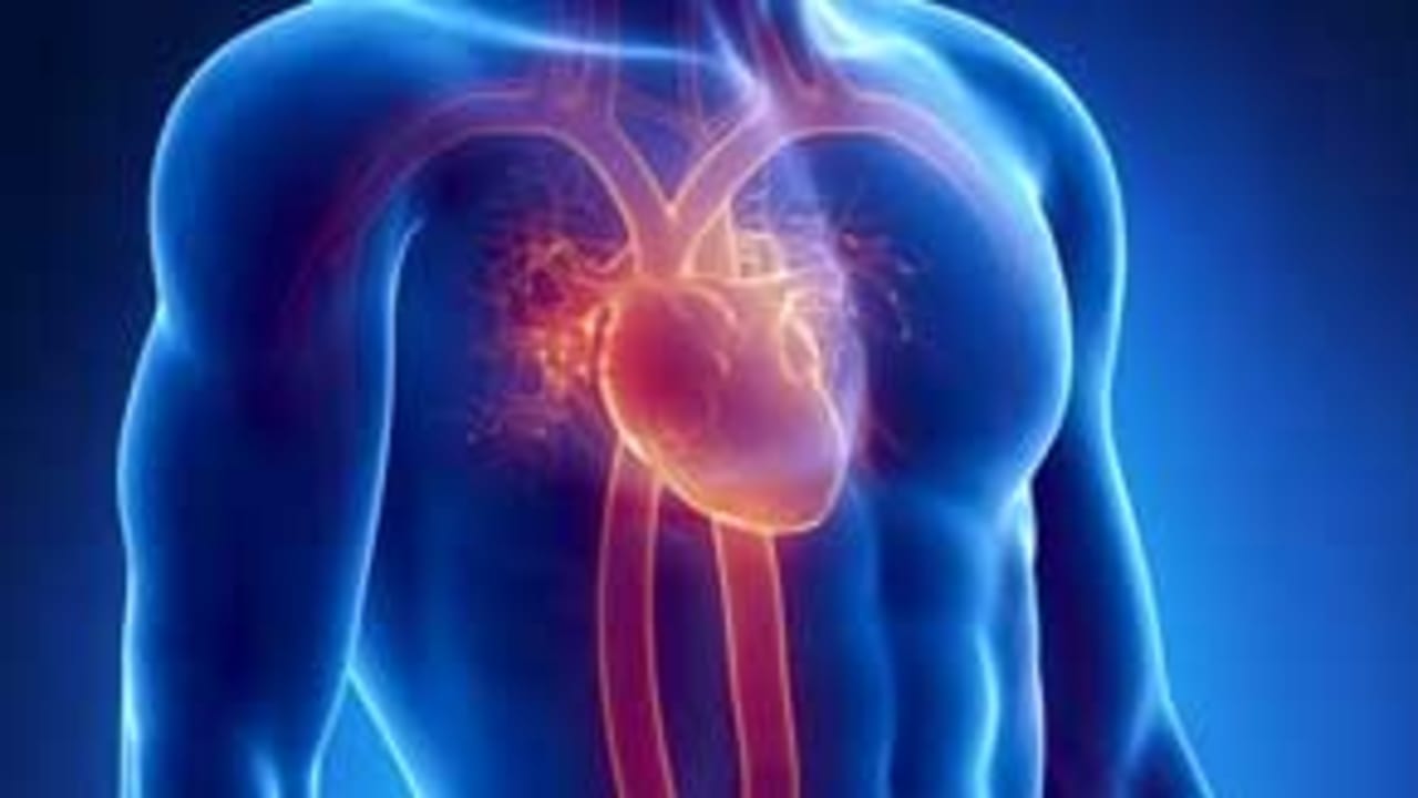 heart-121313-evo.jpg
