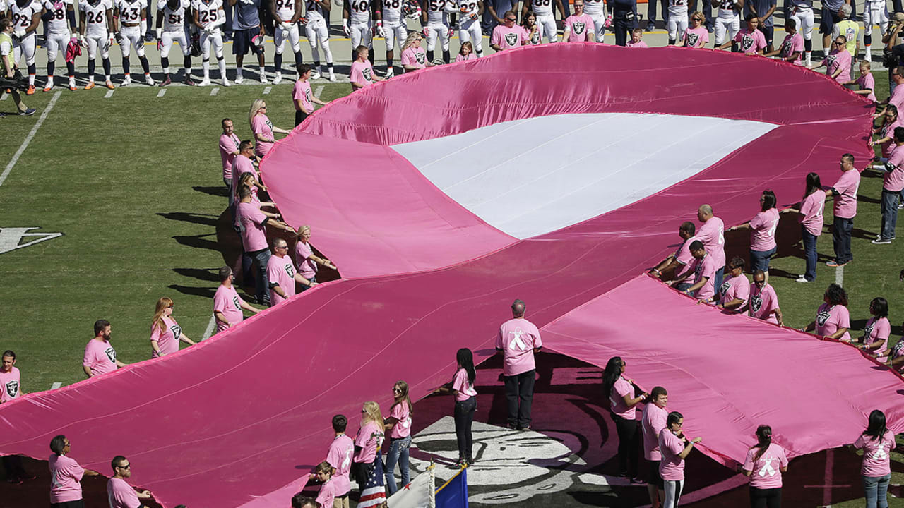 Pittsburgh Steelers Nike Women's Breast Cancer Awareness