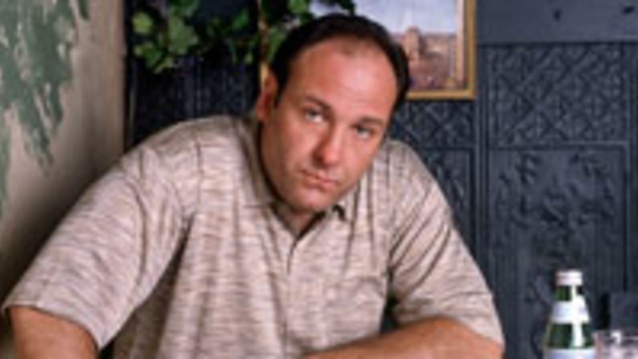 Miami Dolphins head coach Tony Soprano looks at a replay of a