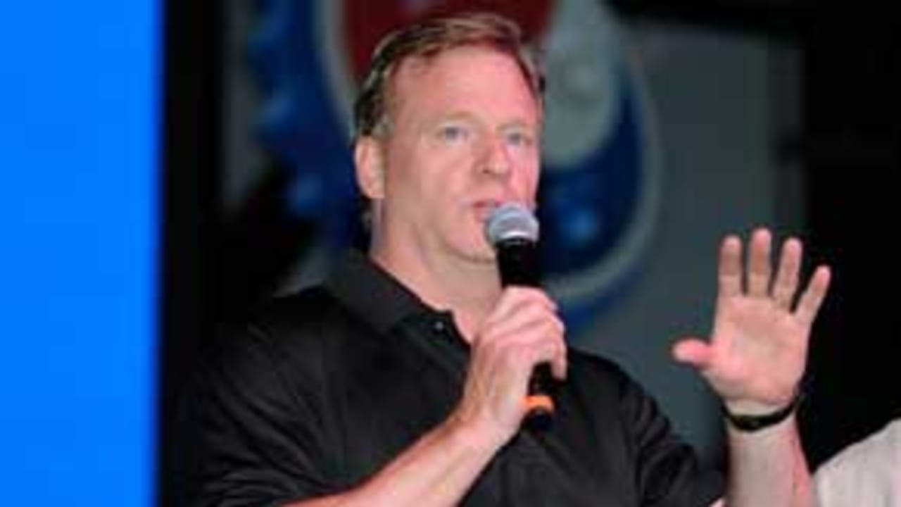 roger-goodell-091813-evo.jpg