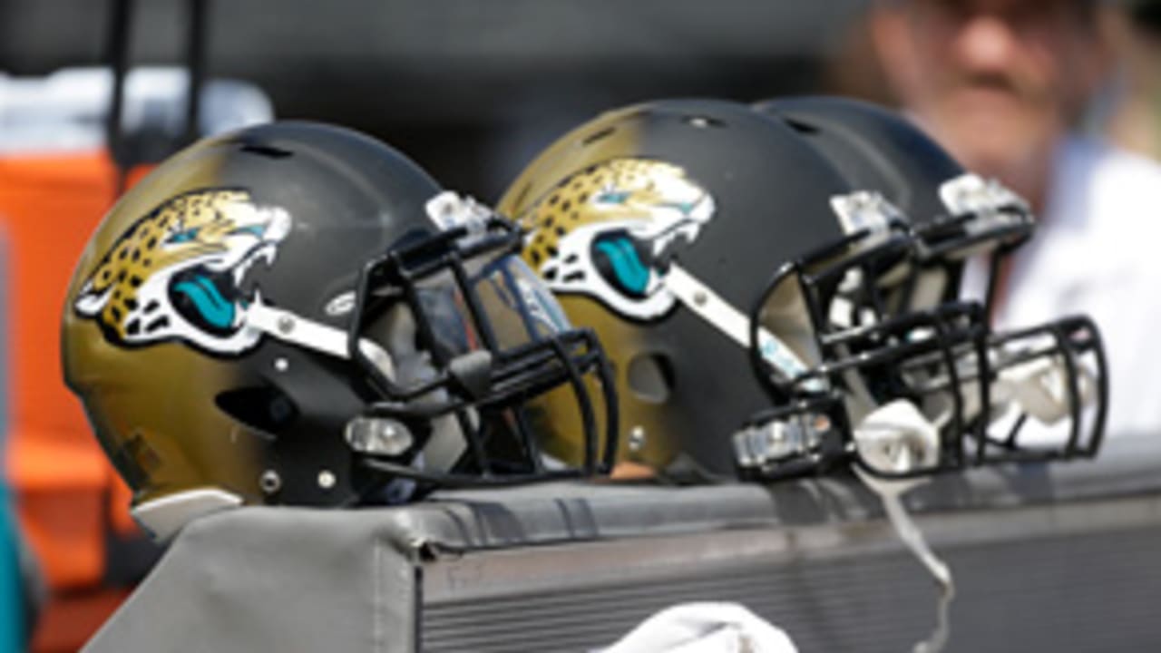 helmets-131230-evo.jpg
