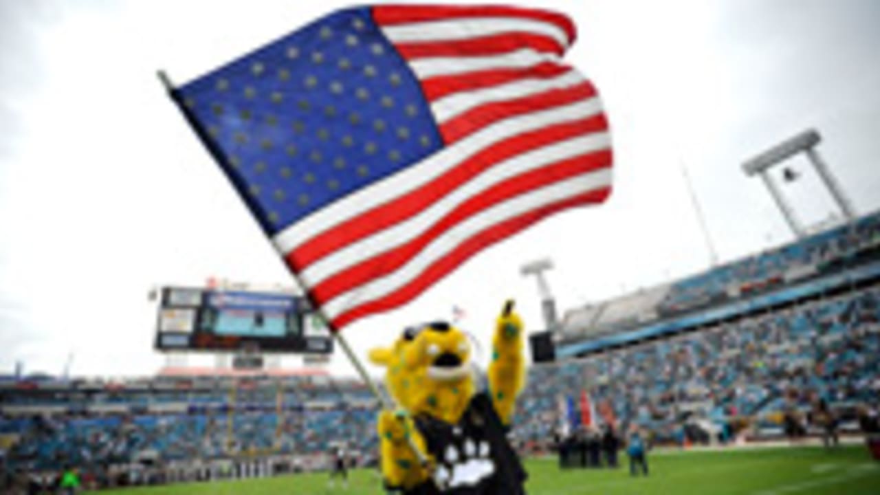 NFL Jacksonville Jaguars 28 x 40 Vertical Flag –