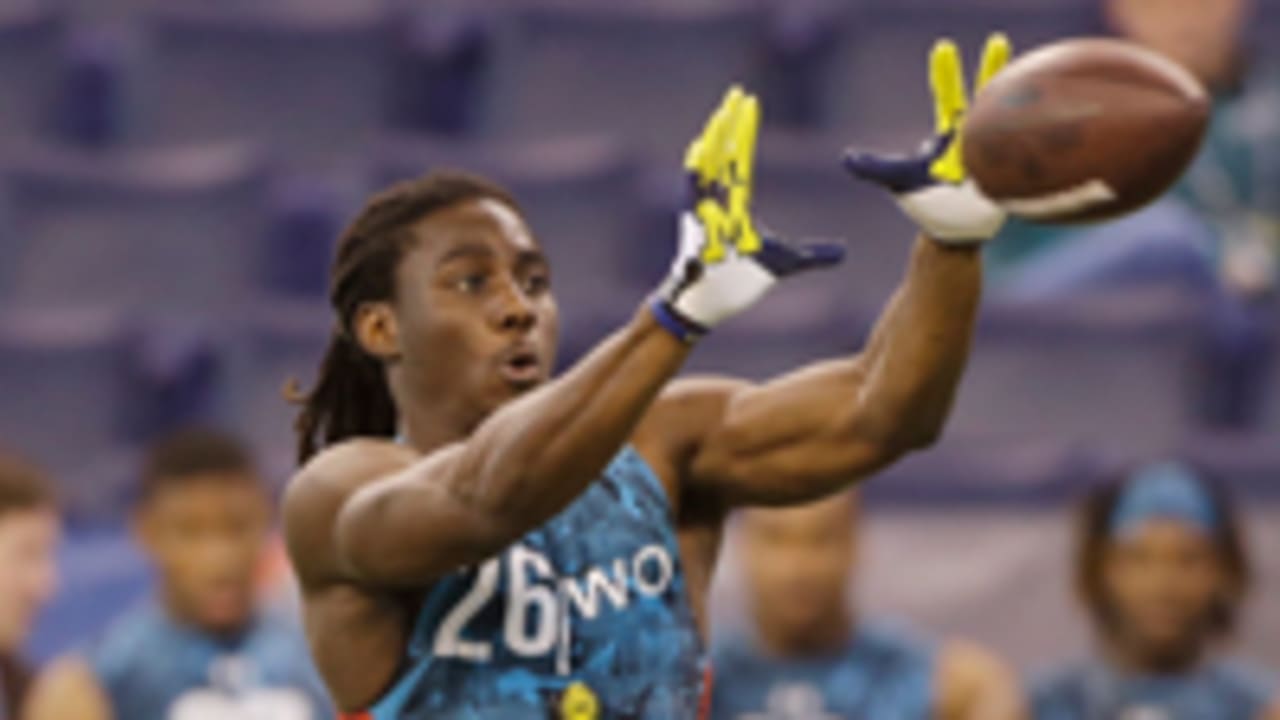 denard_robinson_030813