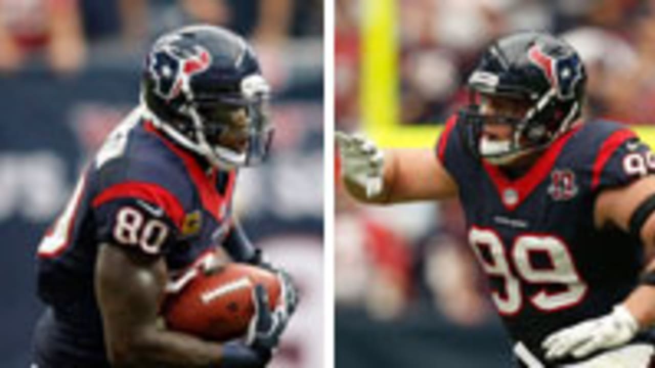 andre-johnson-jj-watt-121128-spot.jpg