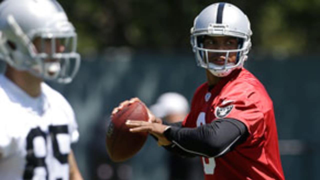 terrelle-pryor-100113-evo.jpg
