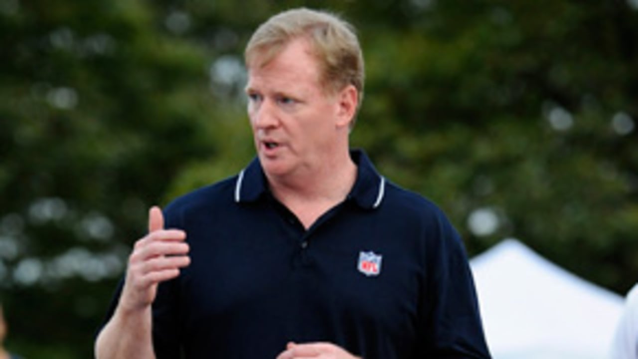 roger-goodell-092513-evo.jpg