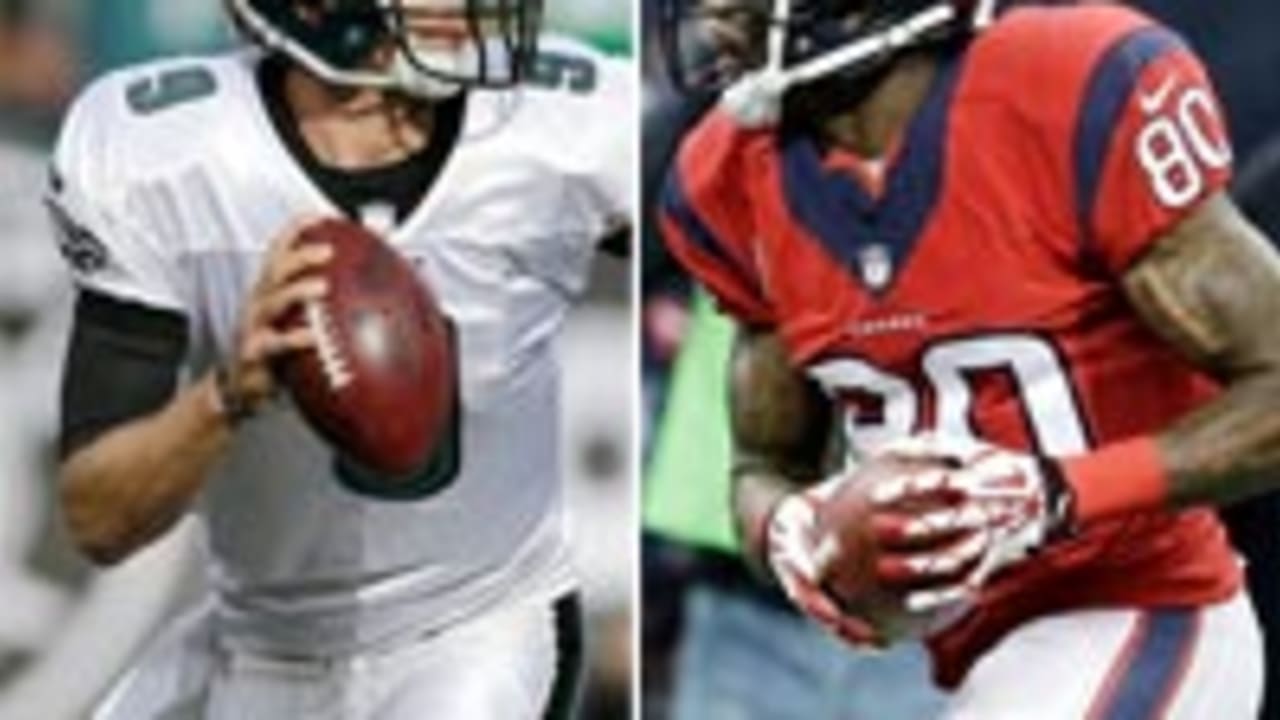 Andre-Johnson-131104-SL.jpg