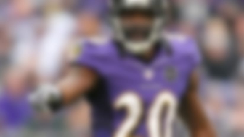 Ed_Reed_130610_IA.jpg