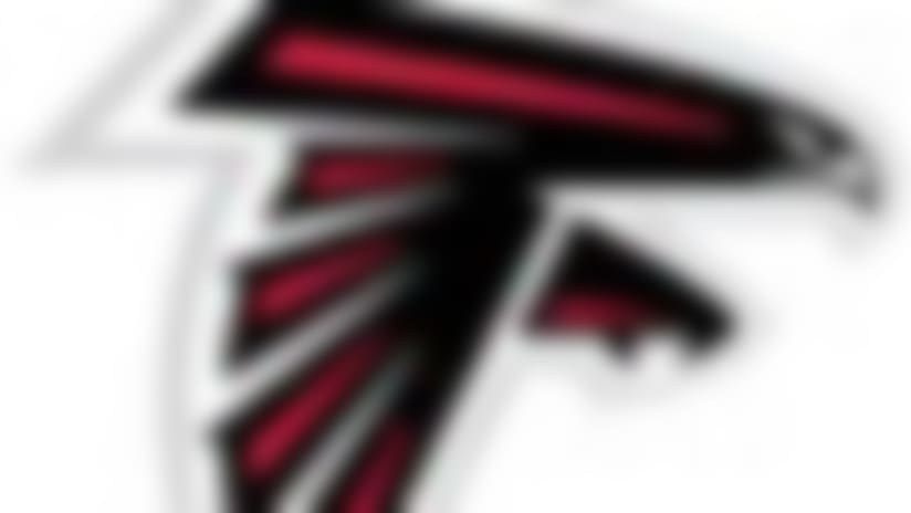 Falcons-130220-IL.jpg
