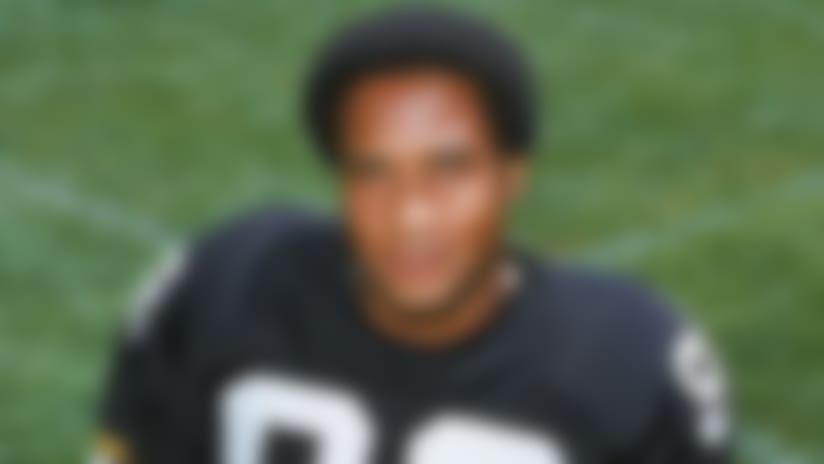 Lynn_Swann_130613_IA.jpg