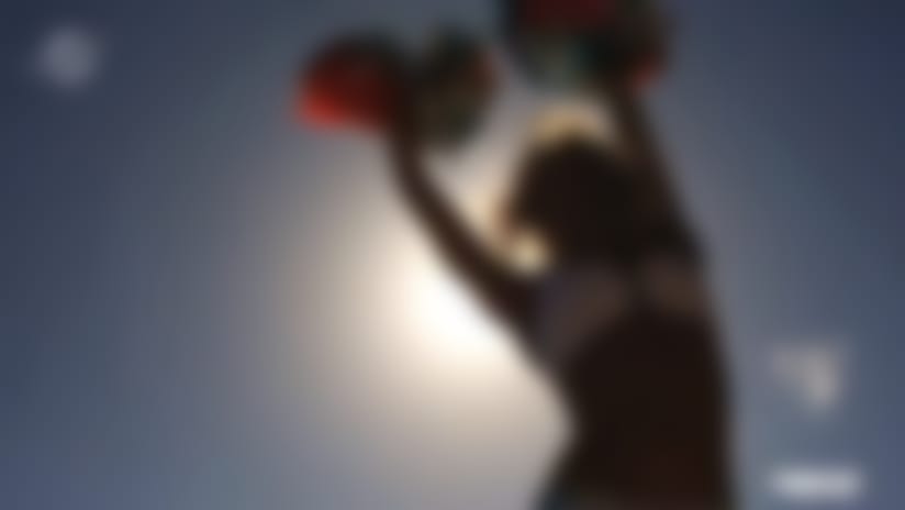 Dolphins_silhouette.jpg