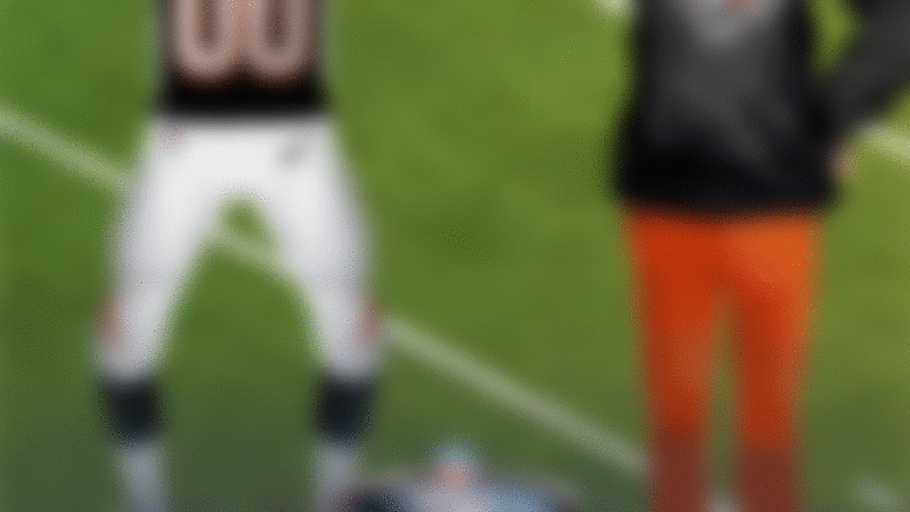 Bengals