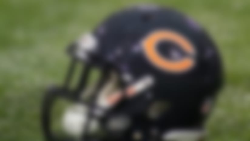 Bears-130415.jpg