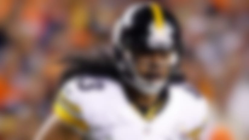 Troy_Polamalu_130613_IA.jpg