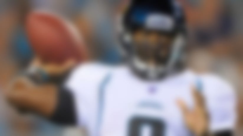 David_Garrard_130612_IA.jpg