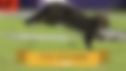 midsCPcat